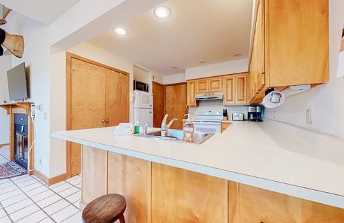 Londonderry Condo | Ski-in/ski-out, dog-friendly condo with 2 decks & fireplace - steps to lifts