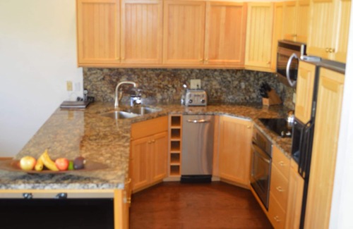 Mountain Village Condo | Ski-in/Ski Out Incredible Slopeside!