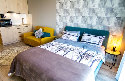 Dusheti House | Ski-in Ski-out Studio Apartment