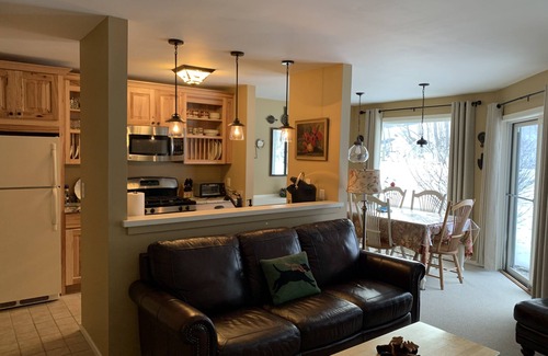West Dover Condo | Ski-in/Walk-out at Carinthia Base Property