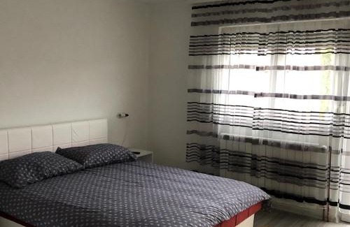 Pale Apartment | Ski kuca Pahuljica