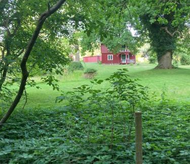 Ringsted Bed & Breakfast | Skovhuset søværelset