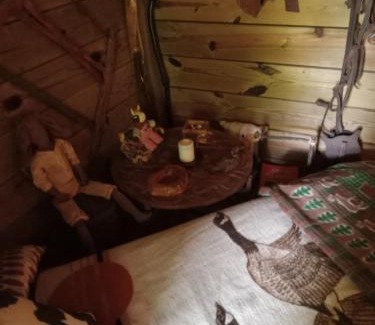 Chiefland Other | Sky acres aka the tin cottage