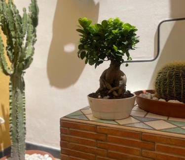 Mount Vesuvius - Pompei Apartment | Sky and Green Luxury Apartament