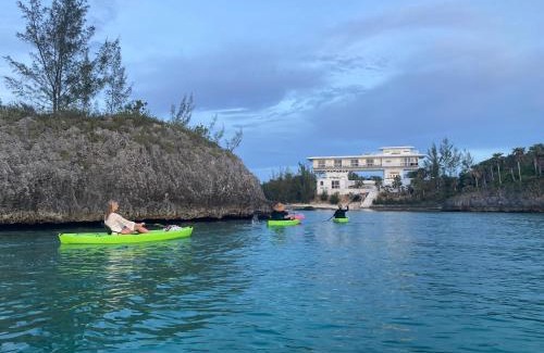 South Palmetto Point House | Sky Cove home