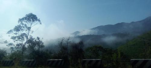 Kattappana House | Sky line home stay