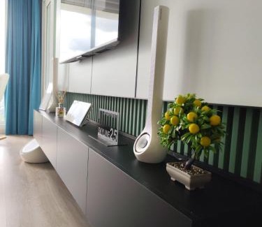 Skopje Region Apartment | Skyline 25 apartment, CEVAHIR SKY CITY SKOPJE, free parking