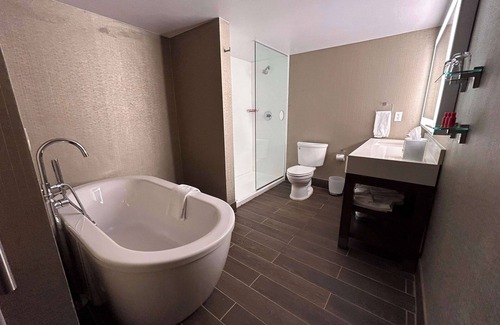 Romulus Hotel | Skyline Hotel Detroit Airport, SureStay Collection by BW