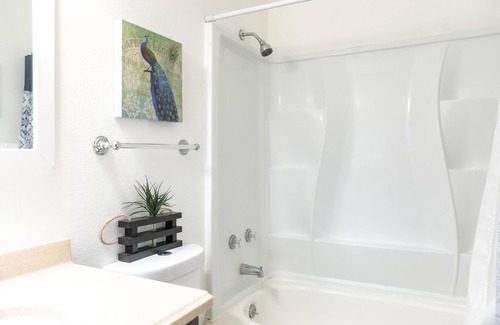 Tri-Cities Apartment | Skyline Suite 2/1 #3507B