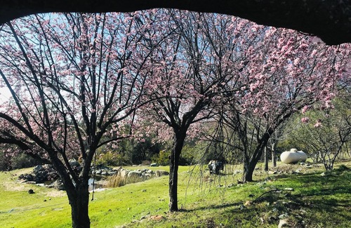 Grass Valley House | SkyView Camper unwind in a natural setting minutes from downtown NC and the Yuba
