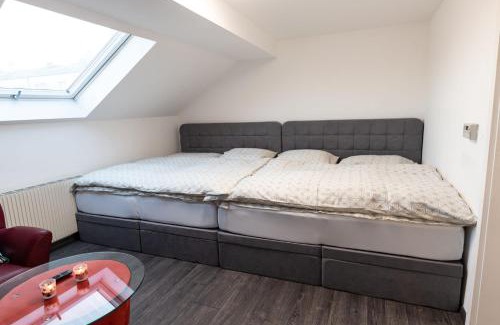 Sankt Polten Apartment | Skyview Studio STP