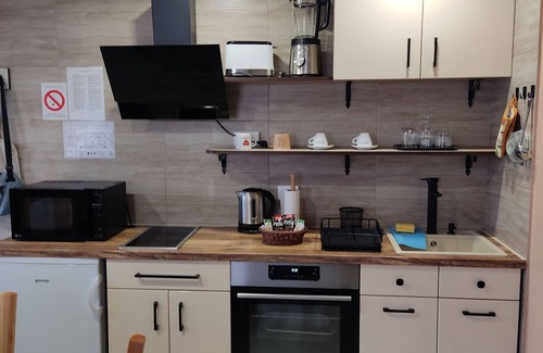 Petrovaradin Apartment | Sladjana Apartments, AP 5