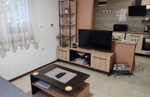 Petrovaradin Apartment | Sladjana Apartments, AP 5