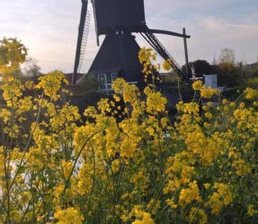 Leerdam House | Slapen bij de molenaar