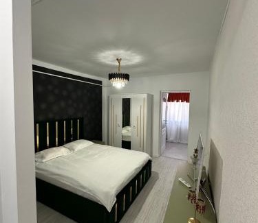 Slatina Apartment | Slatina Amroniei central Studio