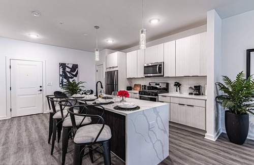 Hillsborough Condo | Sleek & Modern Condo sleeps 6, Handicapped accessible