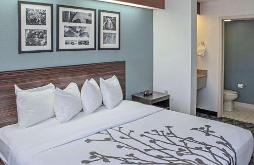 Northwest Hotel | Sleep Inn Lake Wright - Norfolk Airport