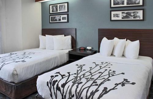 Northwest Hotel | Sleep Inn Lake Wright - Norfolk Airport
