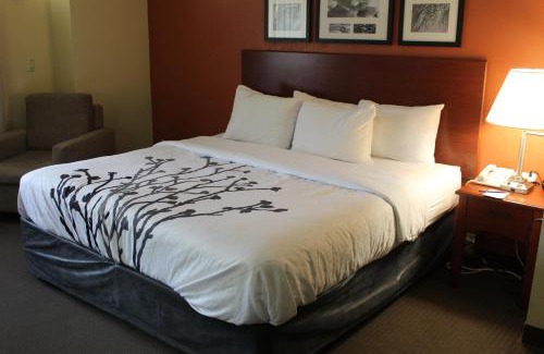 Charleston Hotel | Sleep Inn Mt Pleasant - Charleston