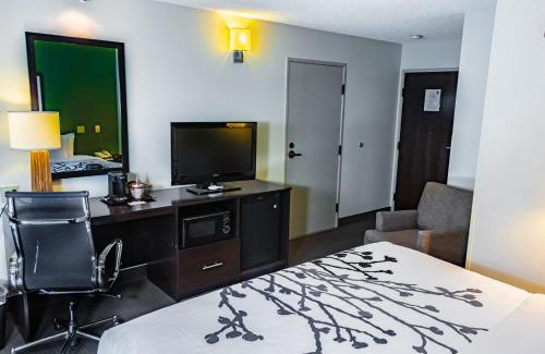 Tri-Cities Hotel | Sleep Inn Pasco Tri -Cities