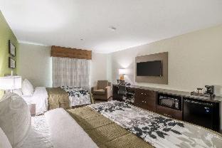 Wellborn Hotel | Sleep Inn & Suites College Station near University