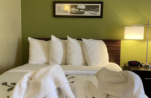 East Paris Hotel | Sleep Inn & Suites Grand Rapids Southeast - Kentwood