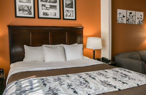 Fairbanks Hotel | Sleep Inn & Suites Highway 290/NW Freeway