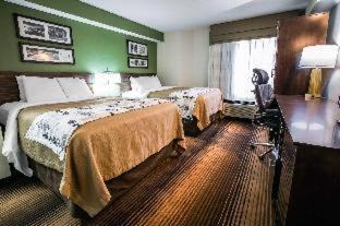 Blountville Hotel | Sleep Inn & Suites Kingsport TriCities Airport