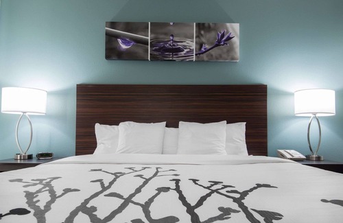 Washington Hotel | Sleep Inn & Suites Washington near Peoria