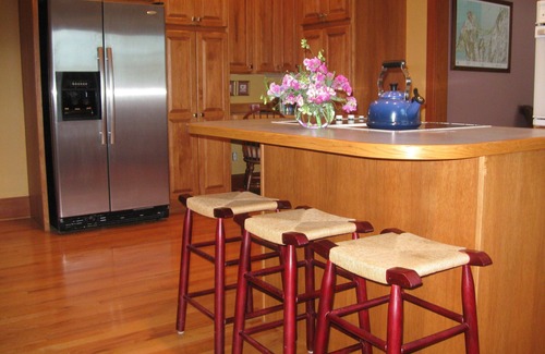 Maple City House | Sleeping Bear Dunes Lakeshore; Perfect for Children and Adults