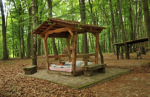 Potzwenden Cabin | Sleeping in the beech green in the fresh forest air