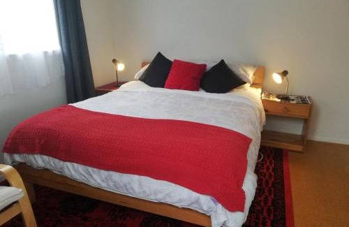 Hamilton Apartment | Sleepout with bathroom and mini kitchenette