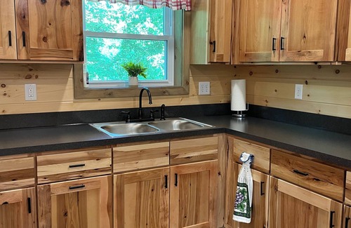 Blissfield Cabin | Sleeps 6, forested seclusion, wildlife galore!