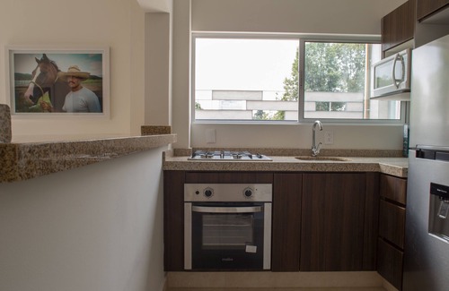 San Miguel Chapultepec Apartment | Slick apartment in gallery art district