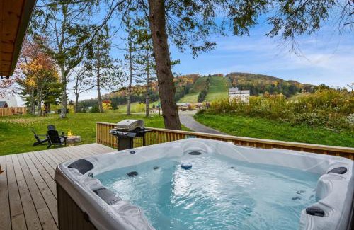 McHenry House | Slippery Slope Cabin at Deep Creek Lake/Wisp Mountain (3 BR)