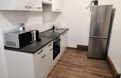 Bakov nad Jizerou Apartment | SLO. Apartments