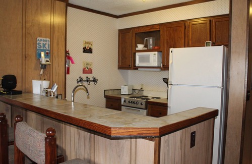 Snowshoe Condo | Slopeside ski in/out 1 bedroom condo with parking on site!