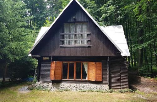 Modra Ski Chalet | Slovak cottage near Bratislava in the heart of the Carpathians