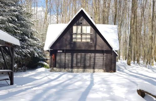 Modra Ski Chalet | Slovak cottage near Bratislava in the heart of the Carpathians