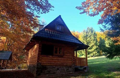 Jasenie Ski Chalet | Slovenská Koliba
