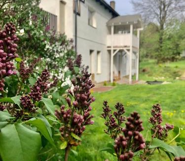 Stara Kamienica Cabin | Slow life Karkonosze