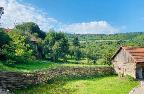 Borosneu Mare House | Slow Living Cottage, Dobolii de Sus