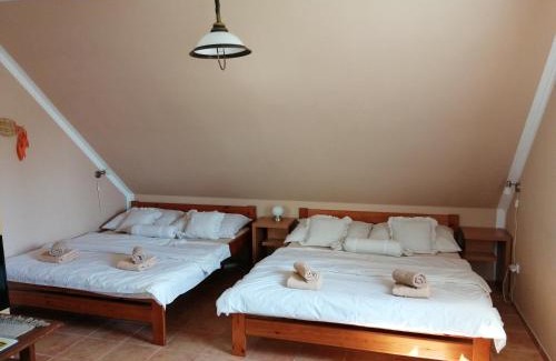 Domanin House | Slunečnice - Ubytování v soukromí na Třeboňsku