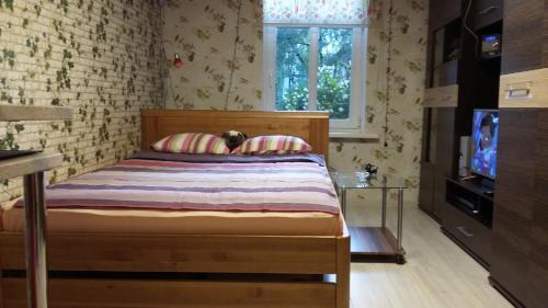 Brasa Apartment | Small and cozy studio apartment