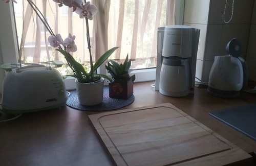 Krampfervorstadt Condo | small cozy 2-room apartment in Erfurt