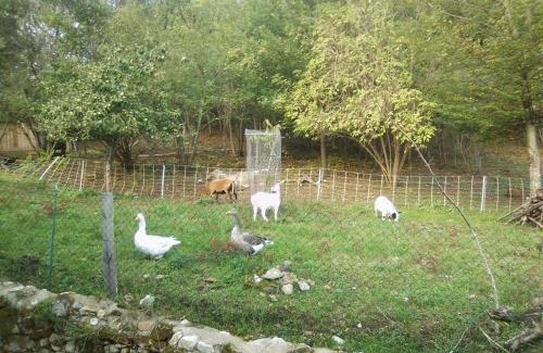 Fumel Apartment | Small, discreet and bright townhouse