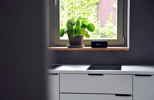 Forst an der Weinstraße Apartment | Small house - apartment over two floors