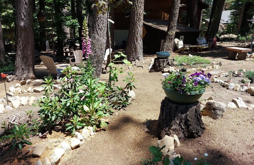 Tahoma Apartment | Small, private Tahoe retreat in a quiet forest.