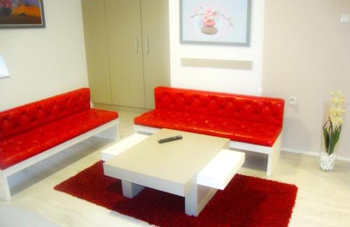 Niska Banja House | Smeštaj Olivera Niška Banja