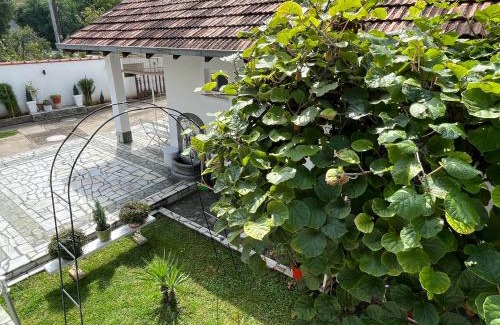 Niska Banja House | Smeštaj Pejčić